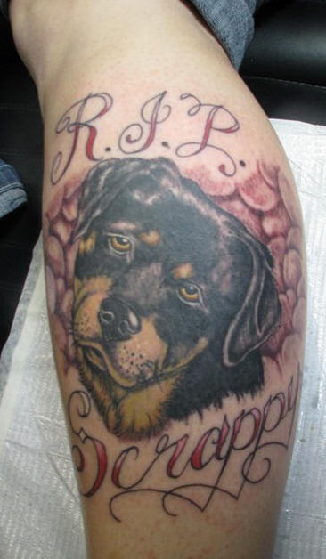 腿部好斗的狗纪念彩色纹身图案