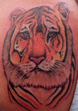 肩部彩色老虎头纹身图案