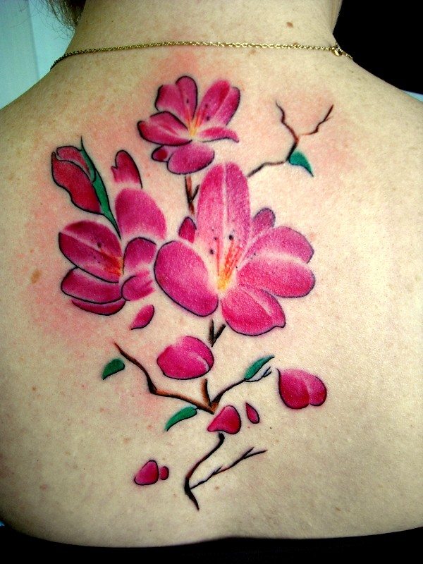 背部彩色漂亮的樱花纹身图案