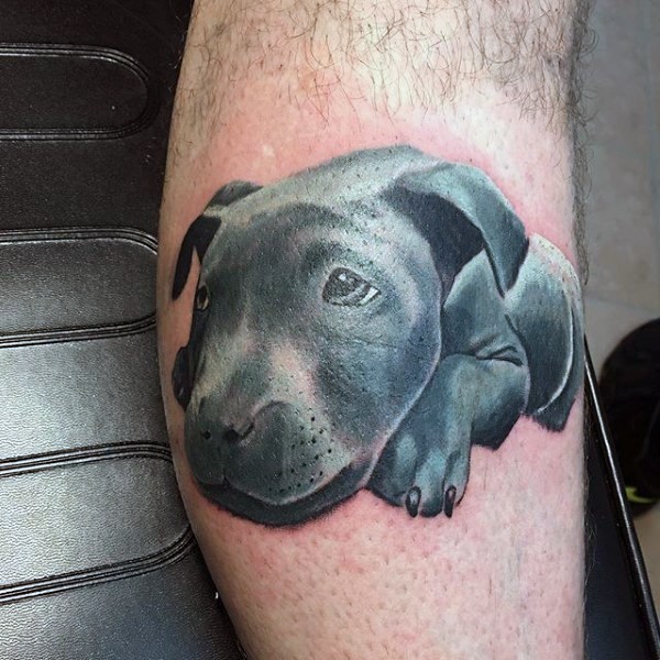 腿部逼真有趣的小狗纹身图案