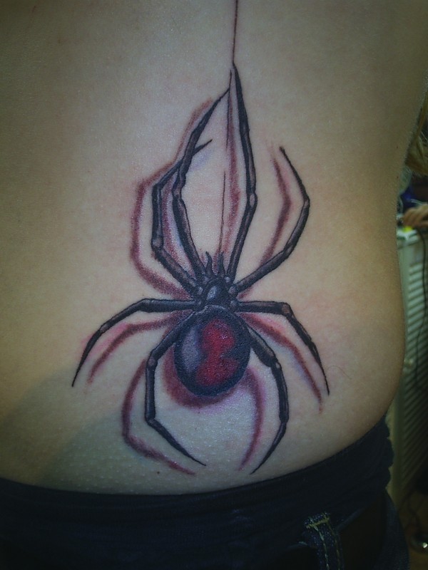 肋骨上彩色写实的蜘蛛纹身图案