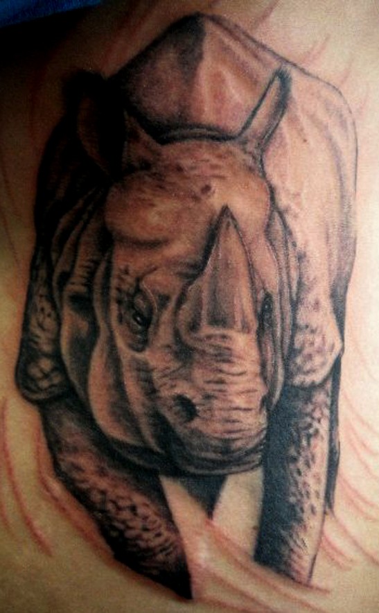背部棕色有趣的犀牛纹身图案
