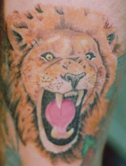 肩部彩色愤怒咆哮的狮子纹身