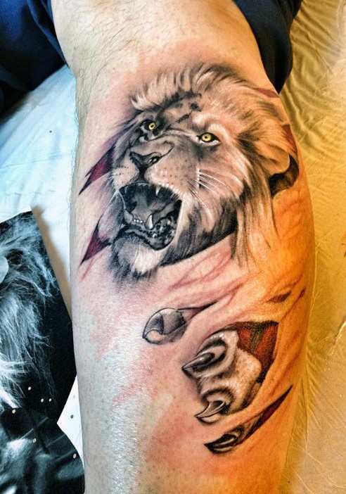 腿部壮观的彩色撕裂狮子纹身图案