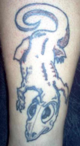 腿部卡通令人毛骨悚然的蜥蜴纹身图片