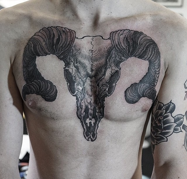 男性胸部黑墨水羊骷髅纹身图案