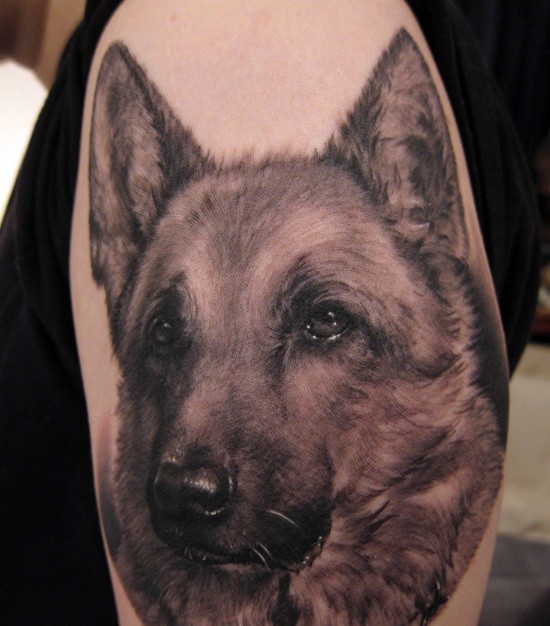 肩部棕色德国牧羊犬纹身图案