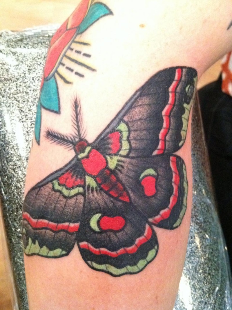 腿部彩色鲜艳的飞蛾纹身图片