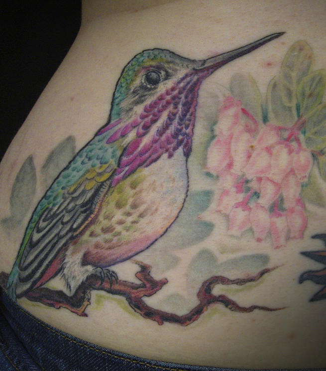 腰部彩色蜂鸟与花朵纹身图案
