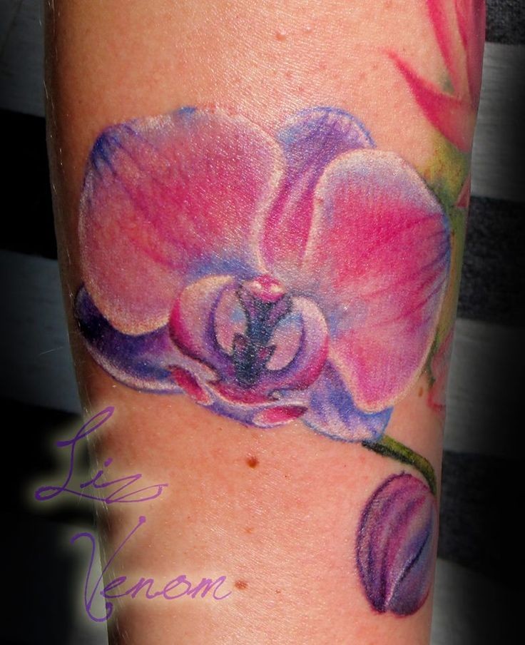 手臂彩色可爱的紫色兰花纹身图片