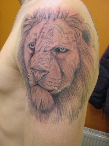 肩部棕色老狮子纹身图案