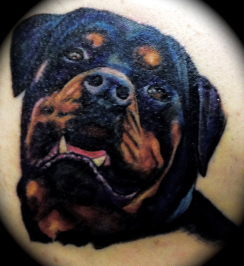 肩部彩色逼真罗威纳幼犬纹身图案