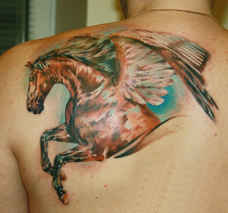 男性肩部漂亮的彩色飞马纹身图案