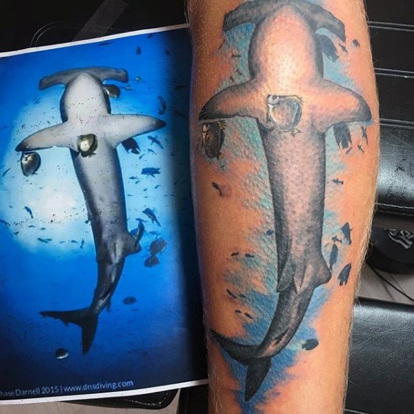腿部彩色逼真的锤头鲨纹身图片