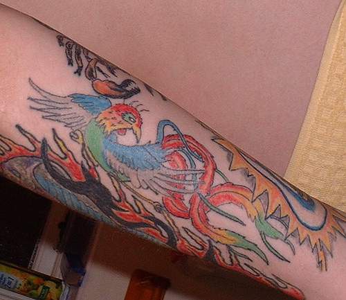 女性手臂彩色凤凰纹身图案
