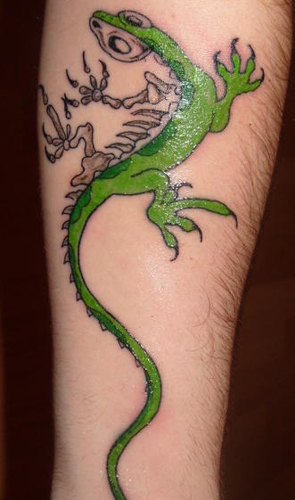 手臂彩色蜥蜴半骨架纹身图案