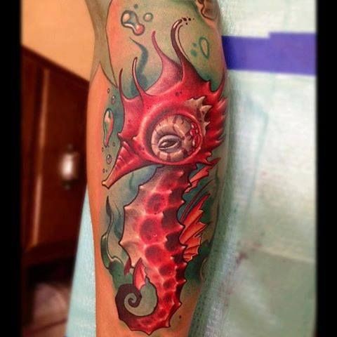 手臂彩色漂亮的红海马纹身图片