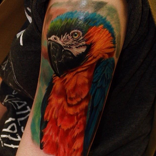 肩部逼真的彩色鹦鹉纹身图案