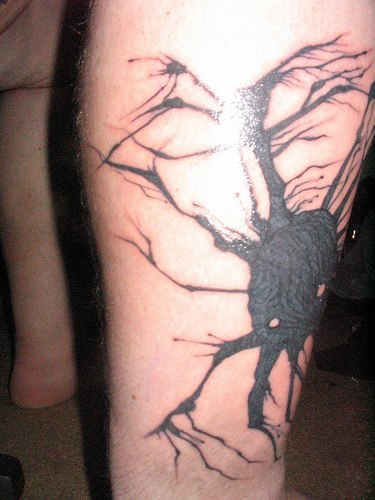 腿部黑色大蜘蛛像树纹身图片