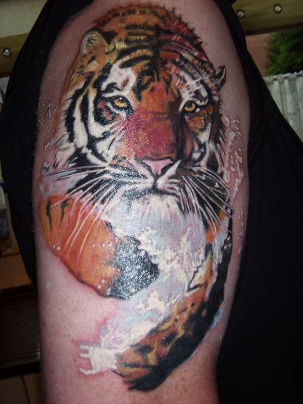 肩部彩色运动的老虎纹身图片