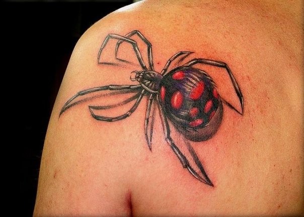 肩部彩色3D蜘蛛纹身图案