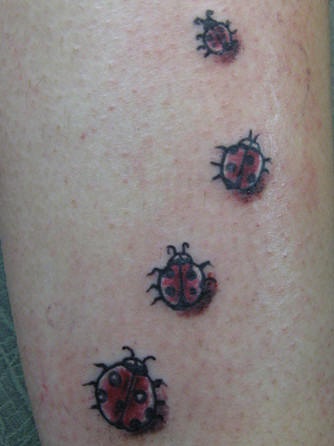 腿部红瓢虫昆虫纹身图案