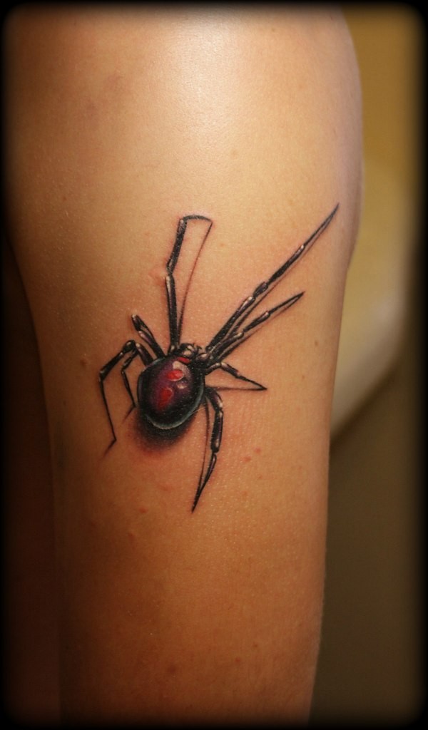 肩部非常逼真的彩色大蜘蛛纹身图案