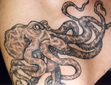 男性腹部黑色章鱼纹身图案