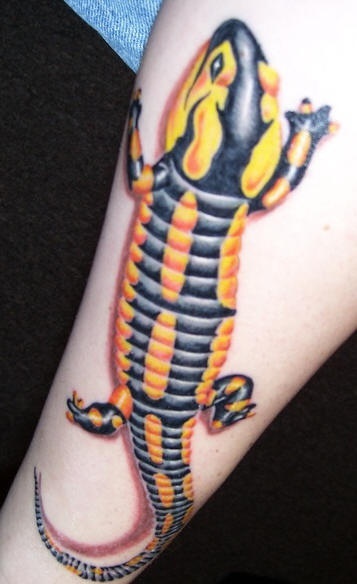 手臂彩色逼真的蜥蜴纹身图案