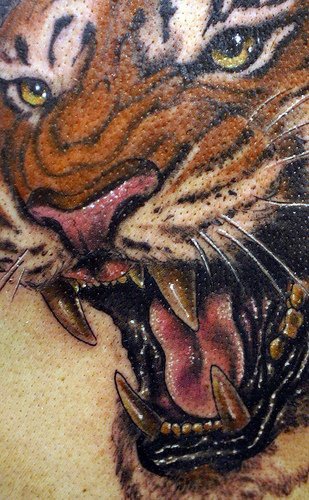 肩部彩色超级现实的老虎纹身图案