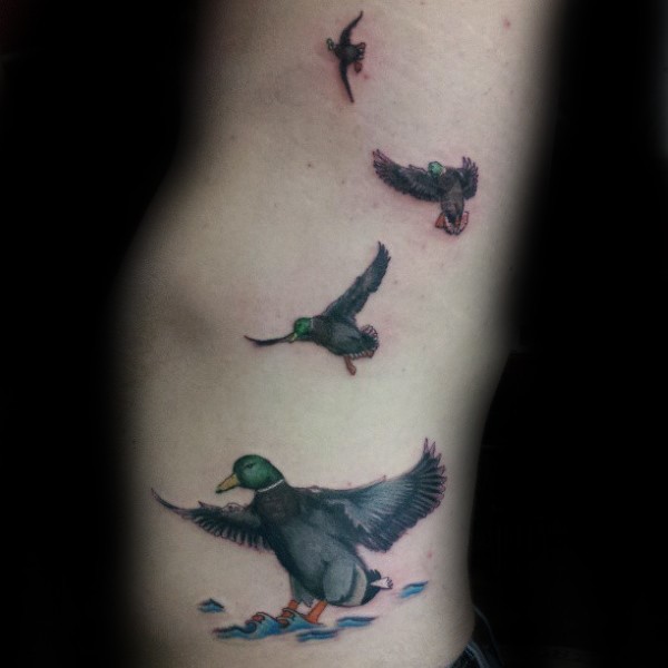 彩色腰侧动物飞行鸭纹身图案
