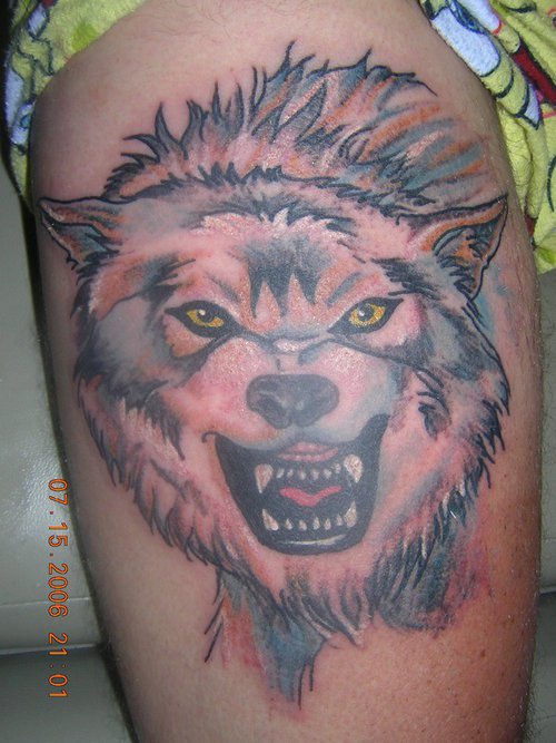 肩部彩色愤怒的狼头纹身图案