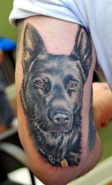男性手臂逼真德国牧羊犬纹身图片