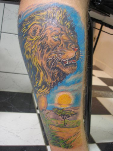 腿部彩色草原上的狮子纹身图片