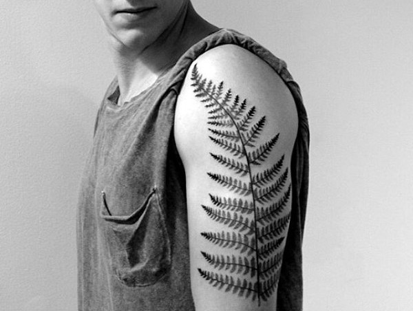 男性肩部蕨类叶子纹身图案