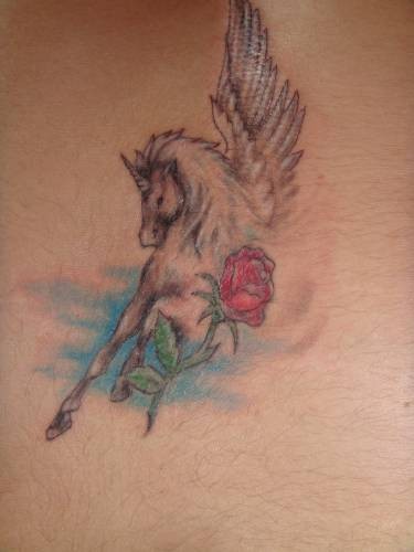 肩部彩色飞马和红玫瑰纹身图片