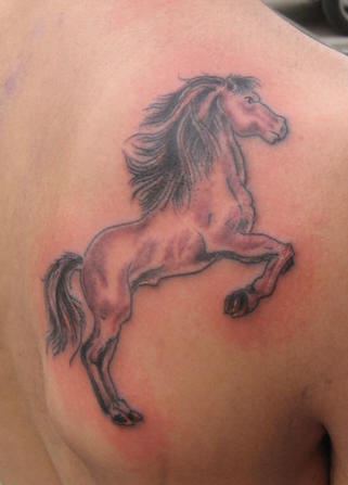 肩部棕色年轻的马纹身图案