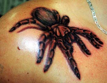 肩部彩色逼真的大蜘蛛纹身图案