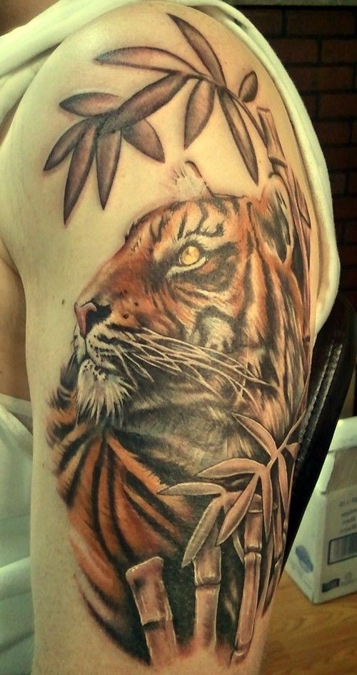 肩部彩色老虎在丛林纹身图案