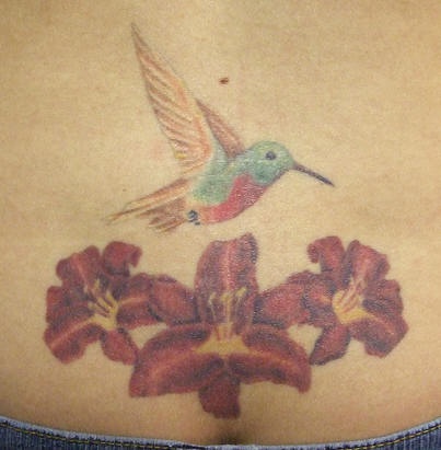 腹部彩色三花和蜂鸟纹身图案