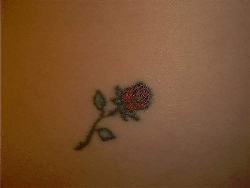 手臂背部小清新小玫瑰纹身图案
