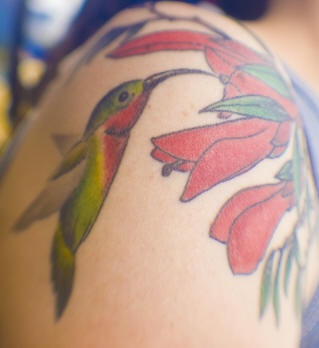 肩部彩色异国情调的蜂鸟纹身