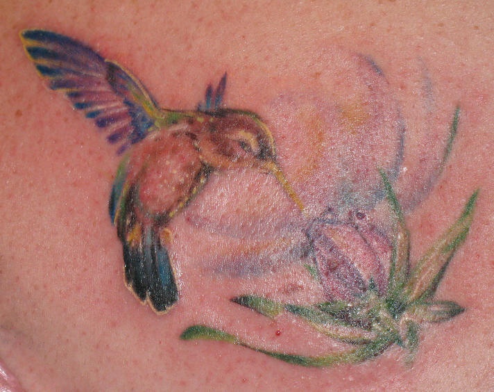 肩部彩色蜂鸟与花纹身图片