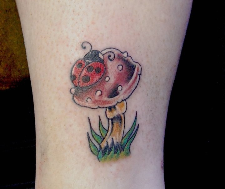 腿部彩色蘑菇瓢虫纹身图片