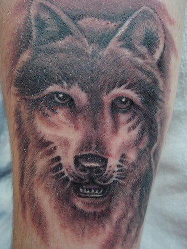 肩部棕色狼头纹身图案