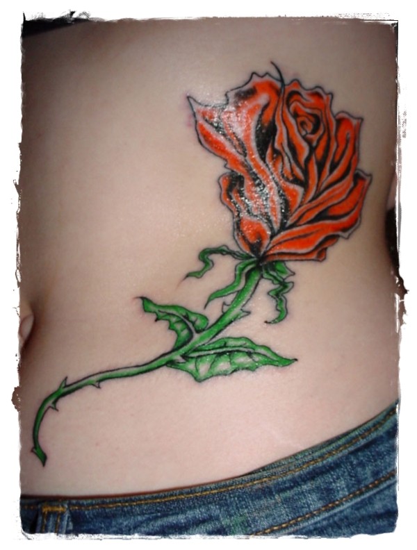 女性腰部彩色玫瑰花纹身图案