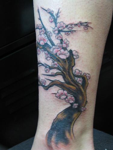 腿部彩色非常漂亮的樱花树纹身图片