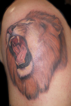肩部彩色怒吼的狮子纹身图片
