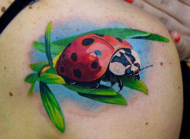 肩部色彩鲜艳的瓢虫纹身图案