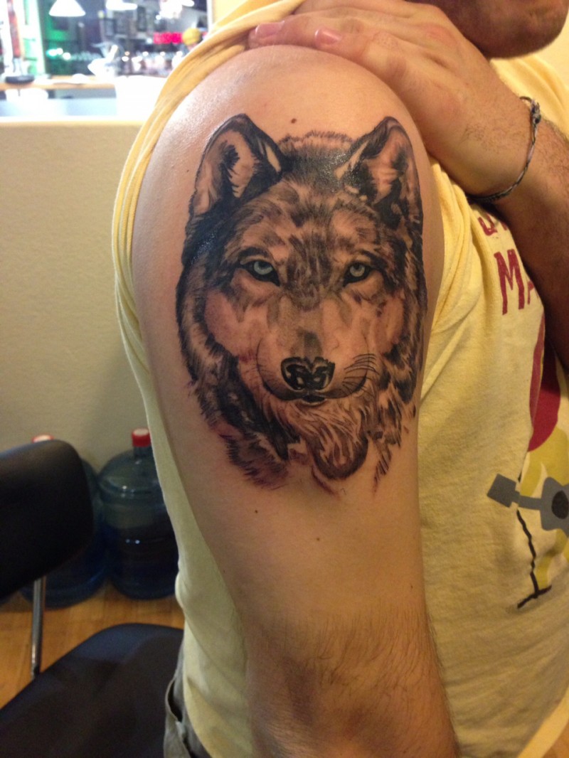 肩部超级现实的黑棕色狼头纹身图案